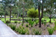 Boardwalk and Gardens