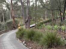 Boardwalk from Nature's Mist