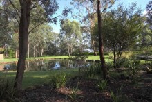 Wild Edge Gardens.