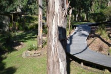 Boardwalk through the gardens.