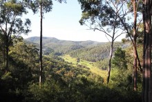 Nature's Mist view of valley