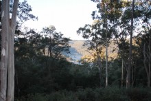 Valley view from Whispering Forest.