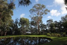 Wild Edge Gardens